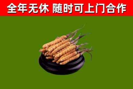 郑州市烟酒回收冬虫夏草.jpg